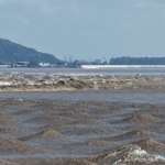 WRZE66WFBX028E9XE4QD - 🌍NewspaperAmigo – Your Global News Buddy 🗞️ 🌊 Catch the 2025 Qiantang River Tidal Bore Spectacle! video poster