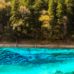X6S9GPO57HPQKKYLP6UT - 🌍NewspaperAmigo – Your Global News Buddy 🗞️ Discover Jiuzhaigou’s Five-Color Lake: Nature’s Living Palette 🌈🏞️ video poster