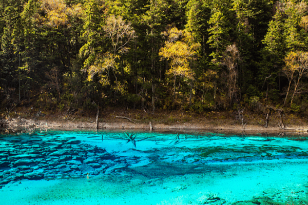 Discover Jiuzhaigou’s Five-Color Lake: Nature’s Living Palette 🌈🏞️ Discover Jiuzhaigou’s Five-Color Lake: Nature’s Living Palette 🌈🏞️ video poster