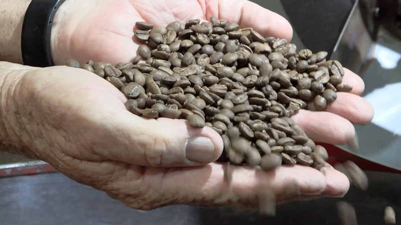 Brazil Farmers Adapt to Trump Tariffs π±π§π· | Trade Shifts & New Markets Brazil Farmers Adapt to Trump Tariffs π±π§π· | Trade Shifts & New Markets video poster