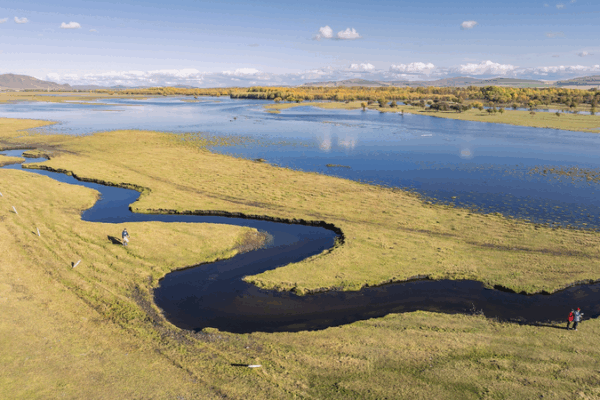 China Expands Protected Wetlands: 22 New Sites Added 🌿🦆 China Expands Protected Wetlands: 22 New Sites Added 🌿🦆