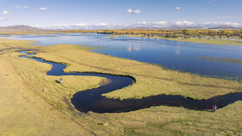China Expands Protected Wetlands: 22 New Sites Added 🌿🦆