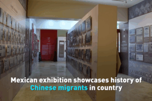 🇲🇽🤝🇨🇳 Mexico Celebrates Chinese Migrant Legacy in Cultural Expo 🌟📜 video poster