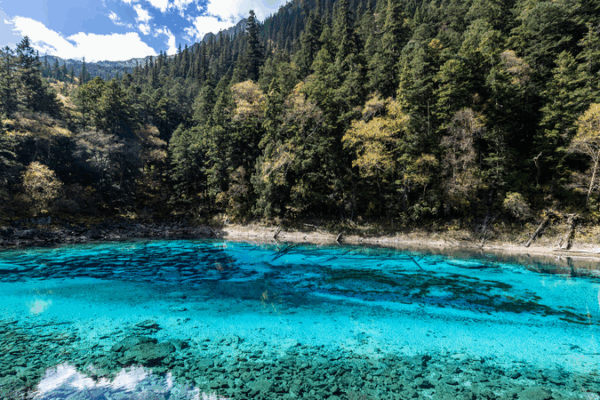 Jiuzhaigou’s Five-Color Lake: Nature’s Rainbow in SW China 🌈🏞️ Jiuzhaigou’s Five-Color Lake: Nature’s Rainbow in SW China 🌈🏞️ video poster