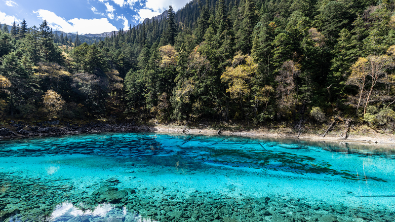 YGDTR4ISW0IR8LOWDDM0 - 🌍NewspaperAmigo – Your Global News Buddy 🗞️ Jiuzhaigou’s Five-Color Lake: Nature’s Rainbow in SW China 🌈🏞️ video poster
