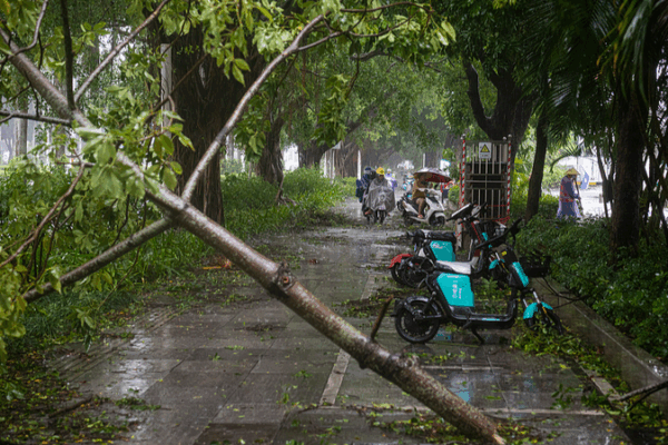 Typhoon Matmo Weakens in Southern China, Relief Efforts Ramp Up 🌪️👷♂️ Typhoon Matmo Weakens in Southern China, Relief Efforts Ramp Up 🌪️👷♂️