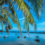 YPGEV7PH3GYP515GZF1D - 🌍NewspaperAmigo – Your Global News Buddy 🗞️ Hainan's Ancient Fishing Village Transformed into Trendy Coastal Getaway 🌊🏡✨