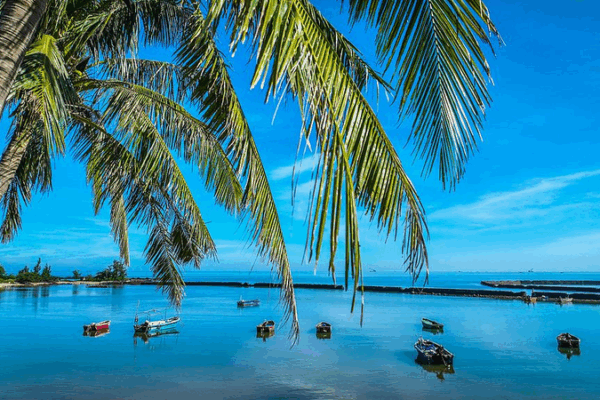 Hainan’s Ancient Fishing Village Transformed into Trendy Coastal Getaway 🌊🏡✨ Hainan's Ancient Fishing Village Transformed into Trendy Coastal Getaway 🌊🏡✨
