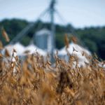 YVBT6PMBHNZYPGT0F3HQ - 🌍NewspaperAmigo – Your Global News Buddy 🗞️ US Farmers Hit Hard by Shutdown & Tariffs 🌾💥