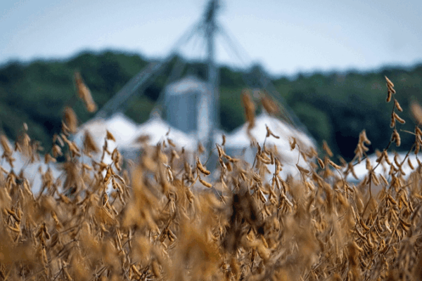 US Farmers Hit Hard by Shutdown & Tariffs 🌾💥 US Farmers Hit Hard by Shutdown & Tariffs 🌾💥