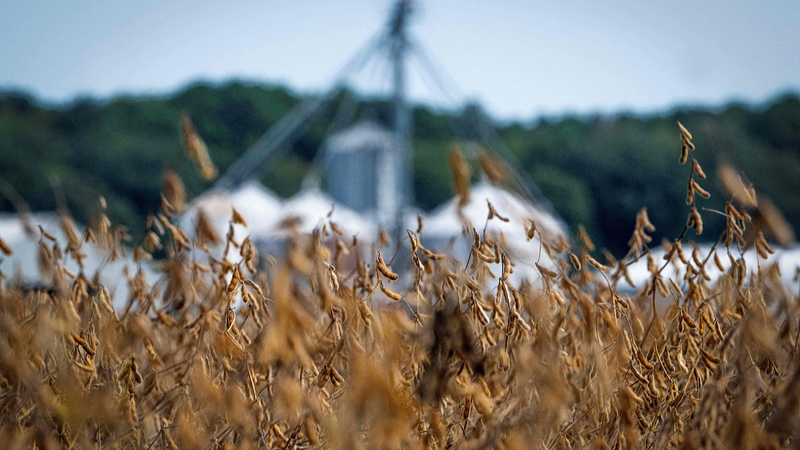 US Farmers Hit Hard by Shutdown & Tariffs 🌾💥