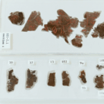 Z2UTJYOI3BDRTGVC740T - 🌍NewspaperAmigo – Your Global News Buddy 🗞️ Ancient Silk Texts Return to China After 79 Years 🎉📜 video poster