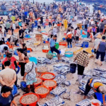 0DPBNT0BBG1YDKV2ELKF - 🌍NewspaperAmigo – Your Global News Buddy 🗞️ Rongshanliao Village Fishing Frenzy: A Seaside Spectacle 🎣🌅 video poster