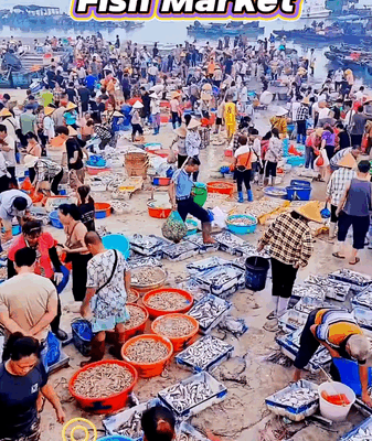 Rongshanliao Village Fishing Frenzy: A Seaside Spectacle 🎣🌅 video poster
