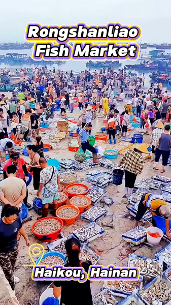 Rongshanliao Village Fishing Frenzy: A Seaside Spectacle 🎣🌅 video poster