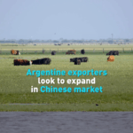 Argentina Eyes China as Top Trade Partner 🌏🚀 video poster