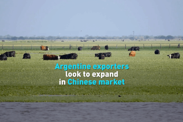 Argentina Eyes China as Top Trade Partner 🌏🚀 video poster