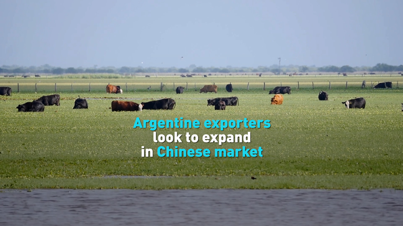 Argentina Eyes China as Top Trade Partner 🌏🚀 video poster