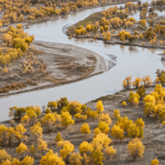 1PYDHNC9GIR14P6ER487 - 🌍NewspaperAmigo – Your Global News Buddy 🗞️ China's Desert Oasis: Taklimakan's Green Transformation 🌱🏜️ video poster