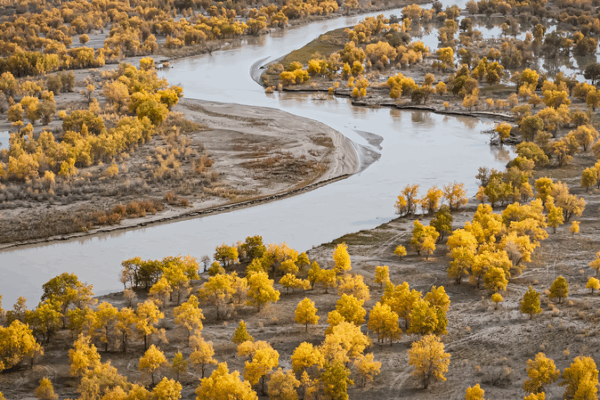 China's Desert Oasis: Taklimakan's Green Transformation 🌱🏜️ video poster