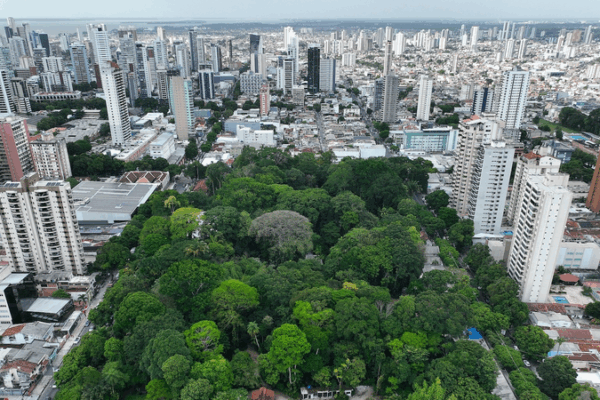 Brazil Launches World's First Health-Focused Climate Plan at COP30 🌍🏥
