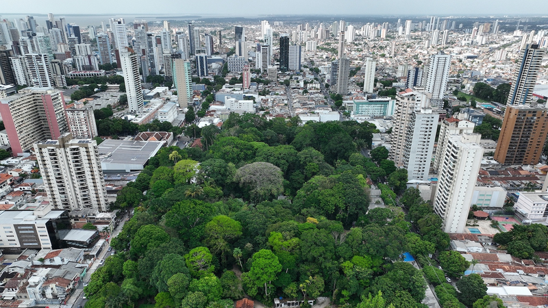 28H8654K5EAFE97E223J - 🌍NewspaperAmigo – Your Global News Buddy 🗞️ Brazil Launches World's First Health-Focused Climate Plan at COP30 🌍🏥