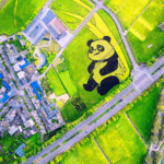 China’s Youth Lead Hunger Fight with Tech & Education 🌱💡