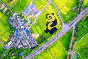 China’s Youth Lead Hunger Fight with Tech & Education 🌱💡