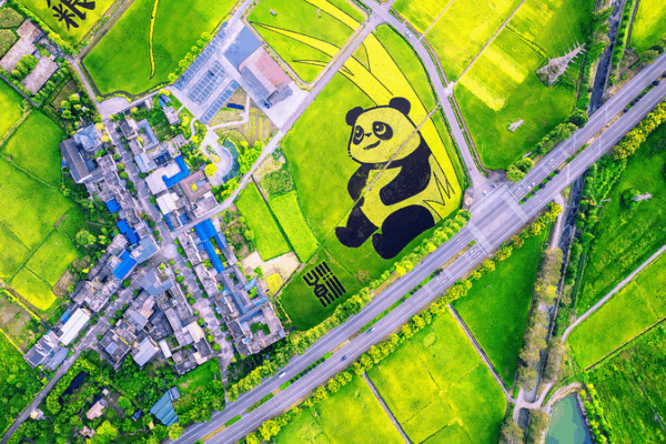 China’s Youth Lead Hunger Fight with Tech & Education 🌱💡