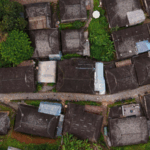 2K8H83C7FW2CE90DZTRR - 🌍NewspaperAmigo – Your Global News Buddy 🗞️ Ancient Tea Forests of Jingmai Mountain: Where Tradition Meets Sustainability 🌿🏡 video poster