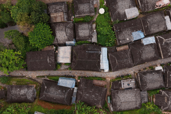 Ancient Tea Forests of Jingmai Mountain: Where Tradition Meets Sustainability 🌿🏡 video poster