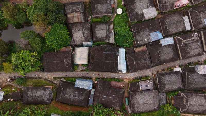 2K8H83C7FW2CE90DZTRR - 🌍NewspaperAmigo – Your Global News Buddy 🗞️ Ancient Tea Forests of Jingmai Mountain: Where Tradition Meets Sustainability 🌿🏡 video poster