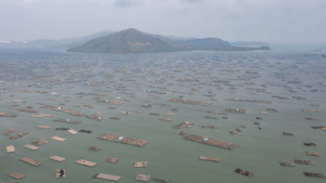 Vietnam Floods Break 50-Year Records, Thousands Displaced 🌊🚨