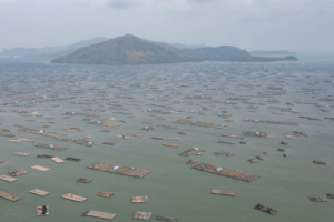 Vietnam Floods Break 50-Year Records, Thousands Displaced 🌊🚨