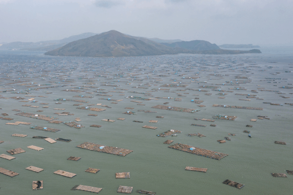 Vietnam Floods Break 50-Year Records, Thousands Displaced 🌊🚨