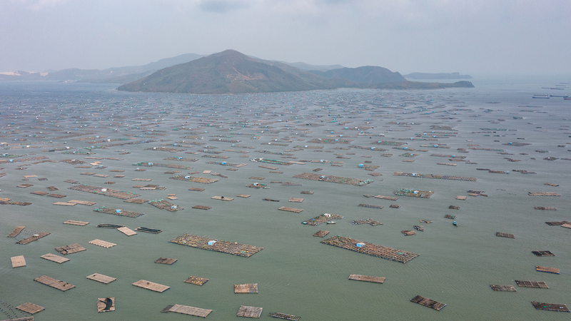 2XE1KH4FG5YNSQNKV8E1 - 🌍NewspaperAmigo – Your Global News Buddy 🗞️ Vietnam Floods Break 50-Year Records, Thousands Displaced 🌊🚨