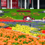 China Defies Global Trend, Boosts Openness in 2024 🌏📈