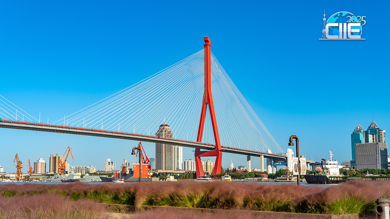 Shanghai’s Yangpu Riverfront: Where Industrial Past Meets Urban Oasis 🌆✨ video poster