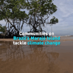 3PNMOPVA36HSJY179XC1 - 🌍NewspaperAmigo – Your Global News Buddy 🗞️ Marajó Island Fights Rising Seas 🌊 #ClimateAction video poster