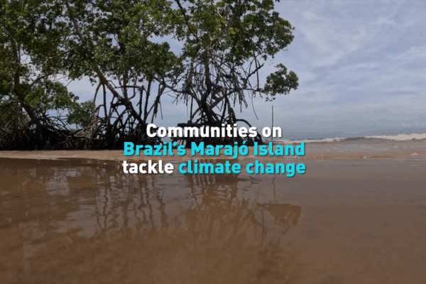 Marajó Island Fights Rising Seas 🌊 #ClimateAction video poster