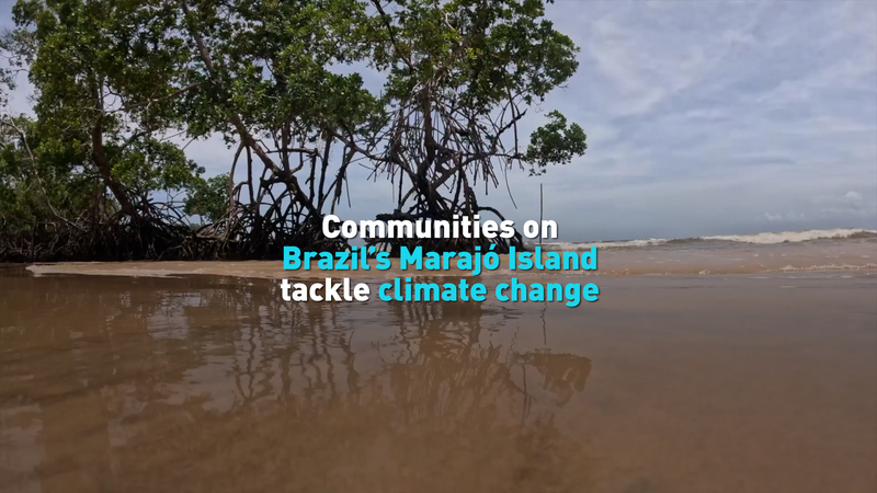 3PNMOPVA36HSJY179XC1 - 🌍NewspaperAmigo – Your Global News Buddy 🗞️ Marajó Island Fights Rising Seas 🌊 #ClimateAction video poster