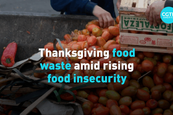 🦃 Thanksgiving Feast or Food Waste? US Faces Dilemma in 2025 video poster