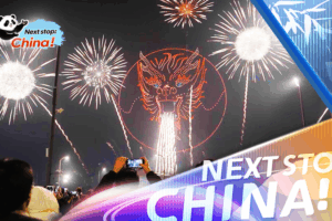 Liuyang’s Fireworks Light Up the Night Sky 🌠✨ video poster