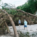 67A2XKEO88C16TBFD408 - 🌍NewspaperAmigo – Your Global News Buddy 🗞️ G20 Unites on Climate, Energy, and Debt Solutions in Historic Africa Summit 🌍✨