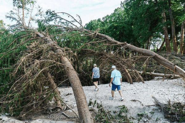 G20 Unites on Climate, Energy, and Debt Solutions in Historic Africa Summit 🌍✨