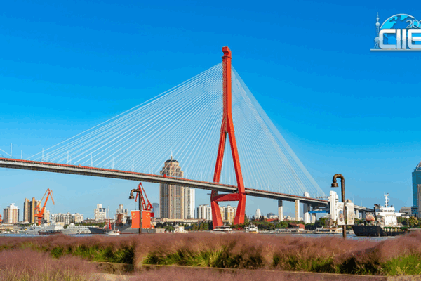 Shanghai’s Yangpu Riverfront: Where Industrial Past Meets Serene Present 🌉✨ video poster