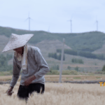 6UP1CI3JYU1SZ6Q8OSRU - 🌍NewspaperAmigo – Your Global News Buddy 🗞️ Bridging Cultures: Taiwan Writer Yang Du Champions Cross-Strait Dialogue 🌉📚 video poster