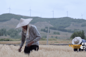 Bridging Cultures: Taiwan Writer Yang Du Champions Cross-Strait Dialogue 🌉📚 video poster