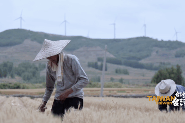 Bridging Cultures: Taiwan Writer Yang Du Champions Cross-Strait Dialogue 🌉📚 video poster