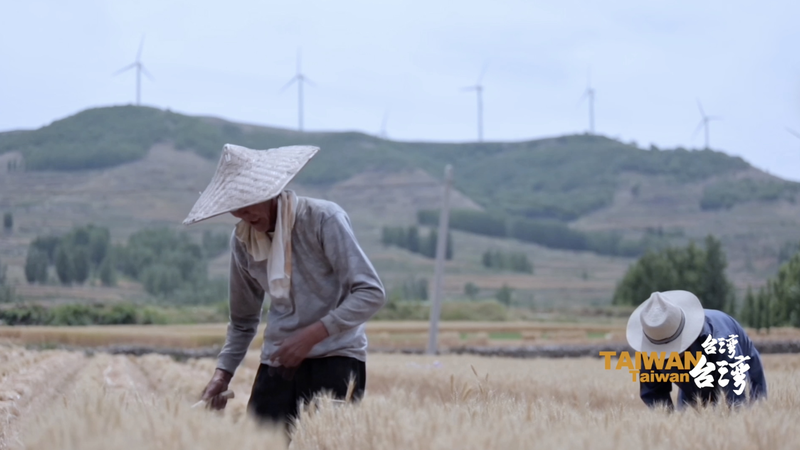 Bridging Cultures: Taiwan Writer Yang Du Champions Cross-Strait Dialogue 🌉📚 video poster